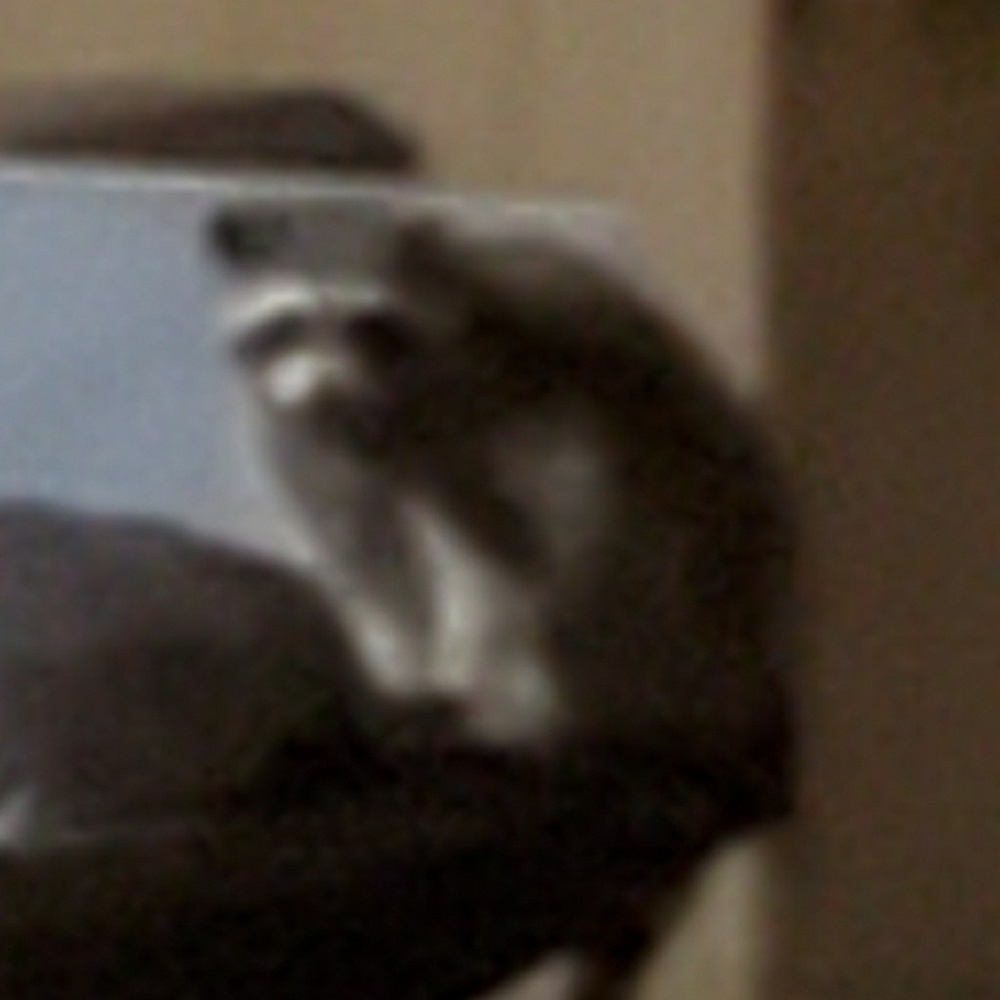 Meet your Posher, Richard